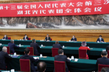 习近平参加湖北代表团审议