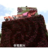 冲上热搜！大妈们带50条丝巾拍照补春天，网友：我妈想加入！