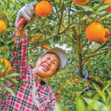 不怕累，就怕脱贫户再掉队——来自一个摘帽贫困县的防返贫帮扶探索