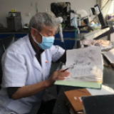 八旬老人画了30年蚊子！当你沉不下心的时候，学学他