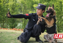 视频丨功勋警犬和训导员的户外常规训练 网友：看着看着眼睛就湿了