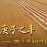 庚子之丰——2020年河南夏粮丰收图景