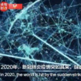时政微视频丨兄弟无远 中非携手抗疫同行