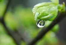 未来9天长沙雨水集中 一江六河将迎洪水过程