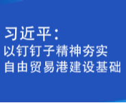 联播+丨习近平:以钉钉子精神夯实自由贸易港建设基础