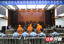 最高获刑15年！冷水江市人民法院集中公开宣判3起毒品犯罪案件