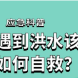 应急科普丨汛期来临，遇到洪水险情如何自救？