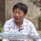 走向我们的小康生活丨田铺大塆：古村落焕发新生机