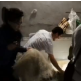 打击非法捕捞 直击长江禁捕“6·30”沱江收网行动