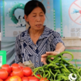 一个人,一个菜摊,“盘”出四个大学生