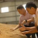 确保储粮安全度夏和粮库防汛不出问题 各地采取有效应对