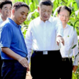 海报｜习近平在吉林考察