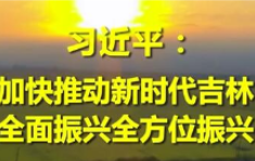 习近平:加快推动新时代吉林全面振兴全方位振兴