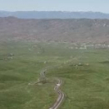 新疆伊犁草原迎来最美季节