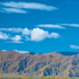 盛开的雪莲(决胜2020)