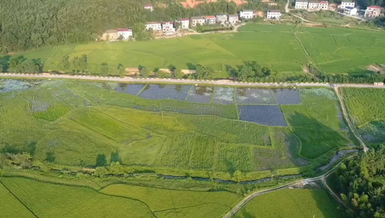 湿地巡礼③丨衡东洣水国家湿地公园水清岸绿河畅景美