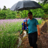 危难关头，总有英雄挺身而出——记习近平总书记关心的三位抗洪英雄