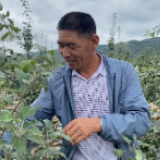 走向我们的小康生活｜一加一减，苹果“大王”节约有道