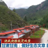 决战决胜脱贫攻坚丨甘肃甘南：做好生态文章 助力脱贫致富