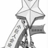 湖南“小巨人”企业过千家，都厉害在哪