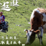 【来！村里逛逛】草原上的“摆渡人”