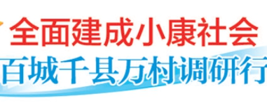 [百城千村万县调研]湖北沙县:按户连片耕种省心又增收