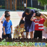 爱惜粮食 从娃娃抓起