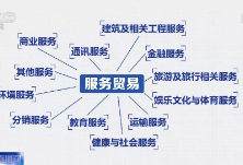 这场“为您服务”的盛会不简单！总台直播带你看→