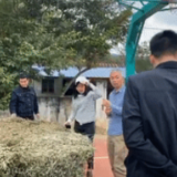 一个警察的故事