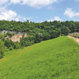 中国投资振兴塞尔维亚百年老矿