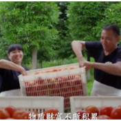 大道不孤丨破解“世界之问”的中国方案