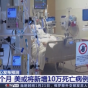 美疾控中心：不到一个月 美或将新增10万死亡病例