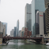 美芝加哥凶杀案发生几率猛增 当地警方：2020是二十多年来最血腥的一年