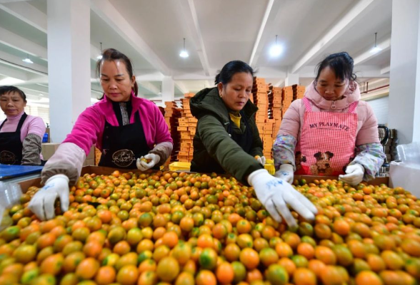 半月谈 | 脱贫攻坚胜利后,扶贫政策何去何从? 三大关键词读懂中央农村工作会议