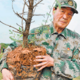 河北省军区原副司令员张连印退休后返乡，义务植树18年——200万棵树！黄土地上绿意浓