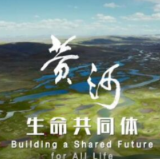 全球连线 | 纪录片《生命共同体——黄河》