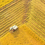霜降至 全国各地农事忙