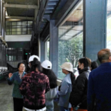 富滇银行绿色金融主题采风行动丨金融活水浇灌“绿色食品牌” 助力乡村振兴
