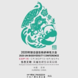 每一帧都美！COP15大会主题宣传片正式发布