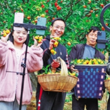 前10月零售额超10万亿元 多重因素支撑网上消费稳定增长