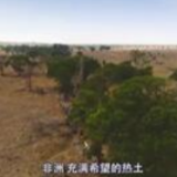 全球连线｜科技先行 “绿”意盎然