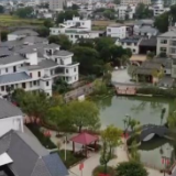 我国乡村富民产业发展势头良好 全面推进乡村振兴取得积极进展