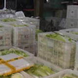 “菜篮子”保供稳价 | 上海：各地蔬菜大批进沪 市场批发价略有回落