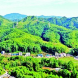 长汀，常青！——福建长汀水土流失综合治理纪实