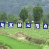 我们的2021 中国人的饭碗牢牢端在自己手中