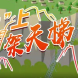 “习近平扶贫故事”系列动画丨“悬崖村”上架天梯