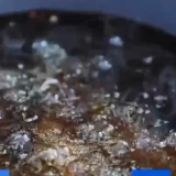节前看市场 | 四川乐山：大佛水库鱼 节前冬捕忙