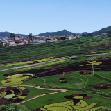 民族团结进步创建看保山丨清水乡中寨司莫拉佤族村：唱响民族团结欢歌 让幸福的地方更加幸福