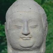 春晚这个C位，牛！