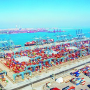 发扬“拓荒牛”精神 创造更多“中国经验”